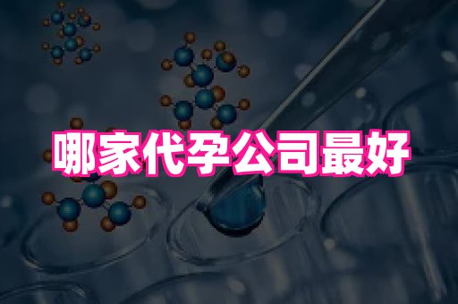 南昌助孕网 3